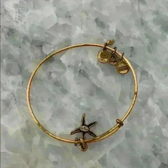 Alex and Ani star fish bracelet - Picture 4 of 4
